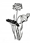 logo_lotus_pagode.jpg